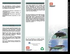 U.S. Army Corps of Engineers Asian carp brochure.