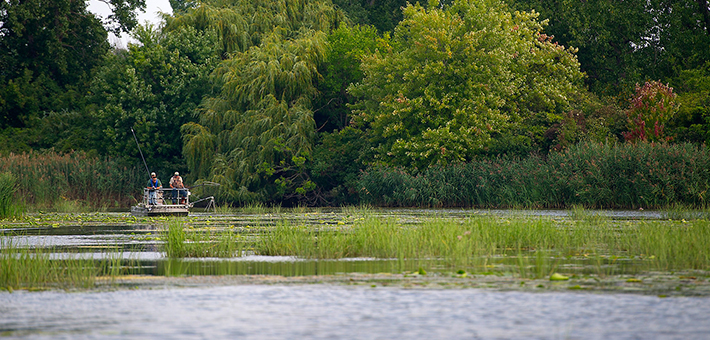 An electrofishing boat looking for Asian carp. Photo courtesy of Michigan DNR.