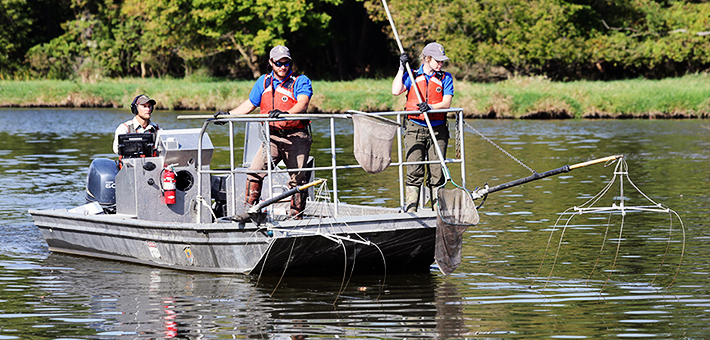 U.S. Fish and Wildlife Service crew electrofishing. Photo by Gary Chancey/USFWS.