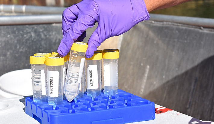 Clear plastic tubes filled with water sit in a holding tray.